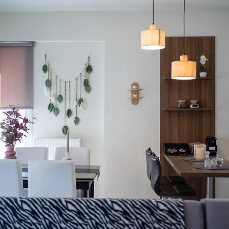 The Contemporary Luxury - Modern & Cozy In