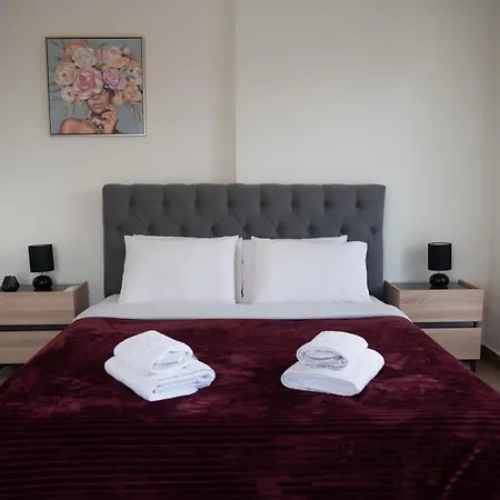 The Contemporary Luxury - Modern & Cozy In 公寓 特里卡拉